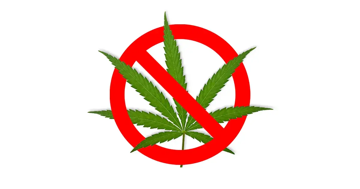 Fleur de cannabis sur un panneau d'interdiction.
