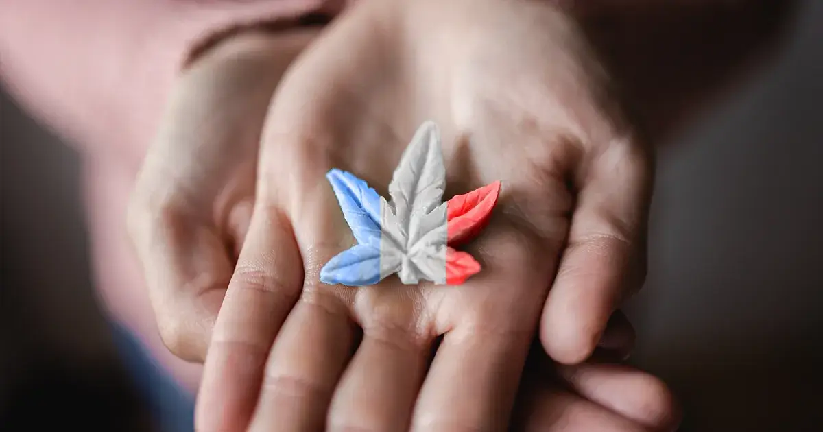 Main tenant une fleur de cannabis ornée d'un drapeau français pour signifier l'arrivée du Cannabis Médical en France dès 2025.
