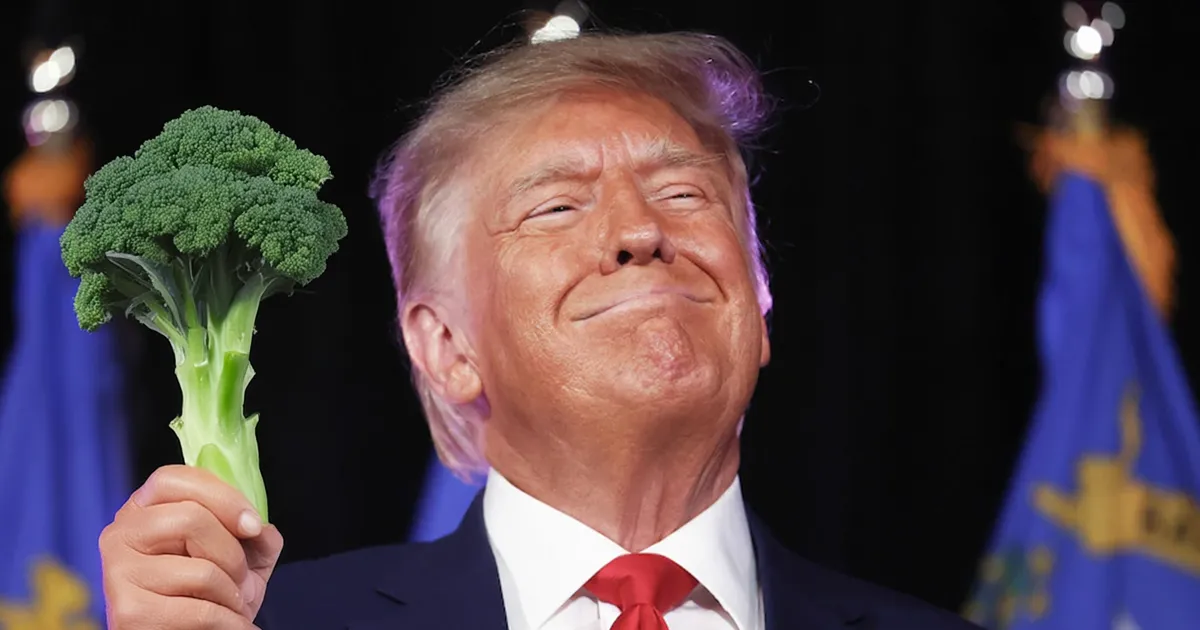 Donald Trump se présente en Faveur de la légalisation du cannabis en Floride.