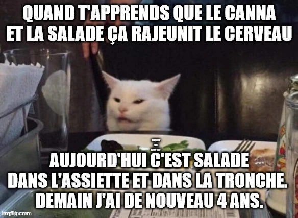 Meme chat, cannabis et régime.