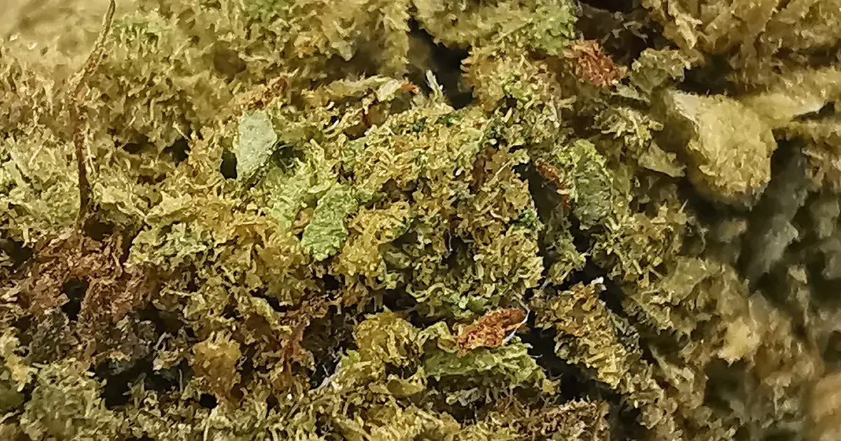 Macron Fleur de CBD Diesel de LHCBD