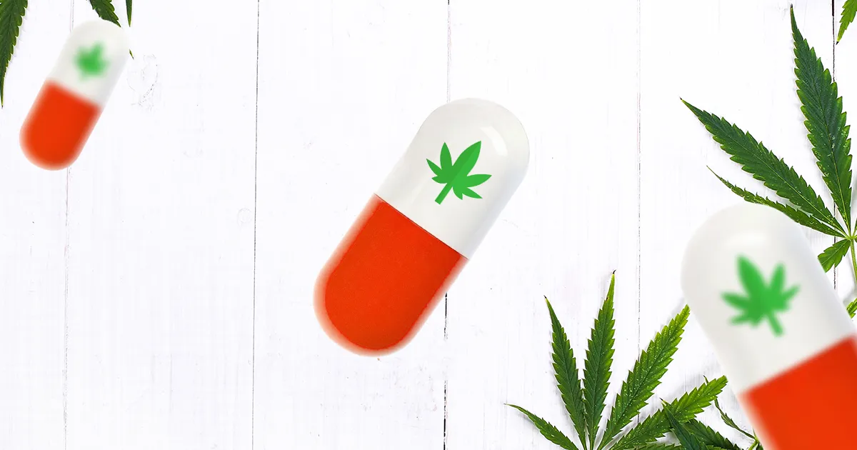 Reclassement du Cannabis aux États-Unis en catégorie 3, aux côtés de substances telles que le Paracétamol.